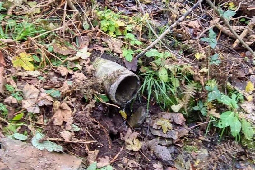 studánka Bílý pramen (15047) - listopad 2023