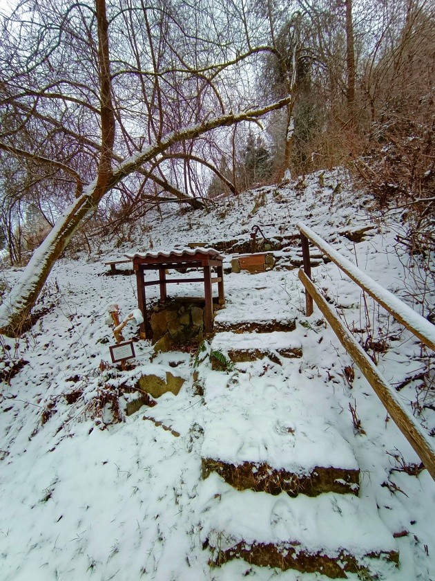 studánka U rybníčku (15053) - listopad 2023