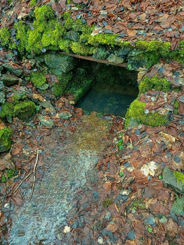 studánka bez jména (15054) - listopad 2023