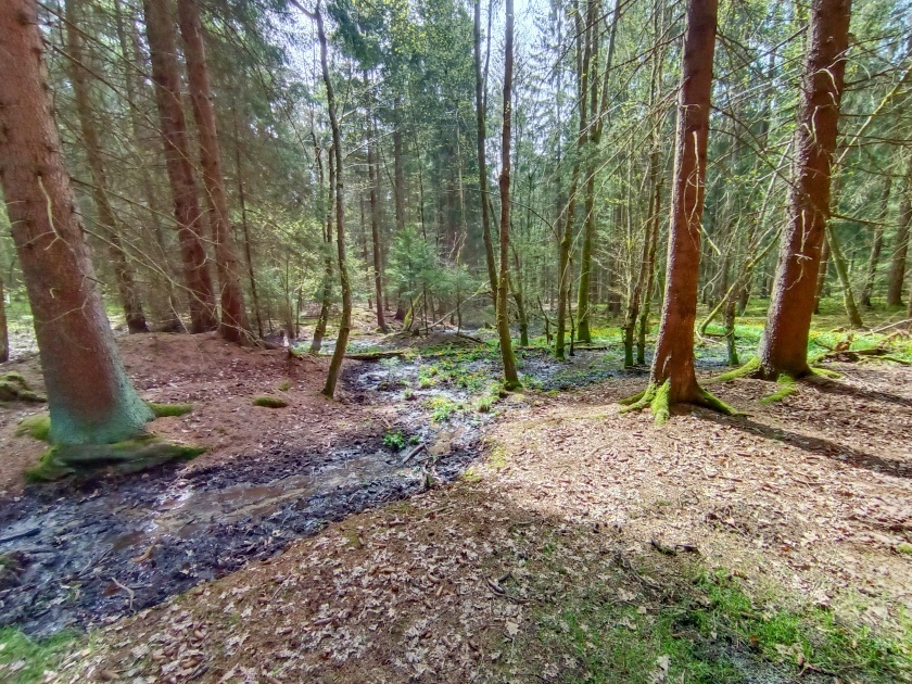 prameniště bez jména (15096) - květen 2023