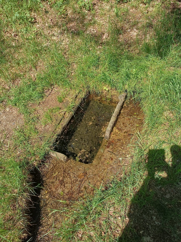 studánka bez jména (15099) - červen 2023