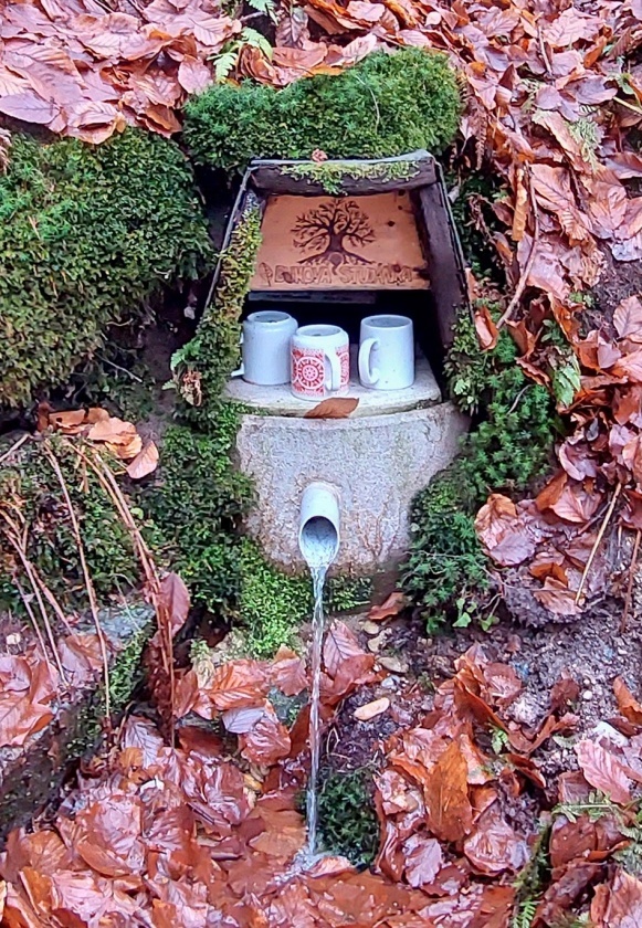 Buková studánka (15111) - únor 2024