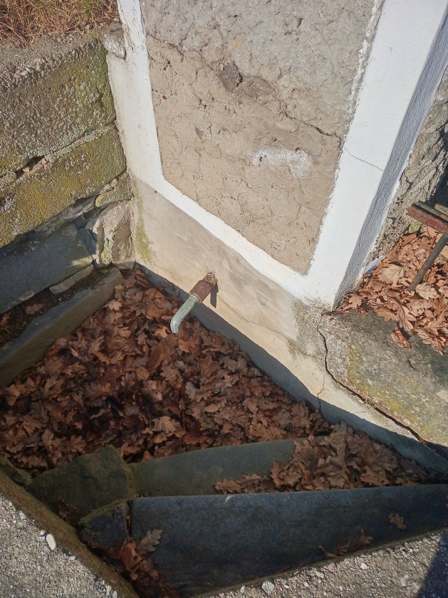 studánka bez jména (15116) - únor 2024