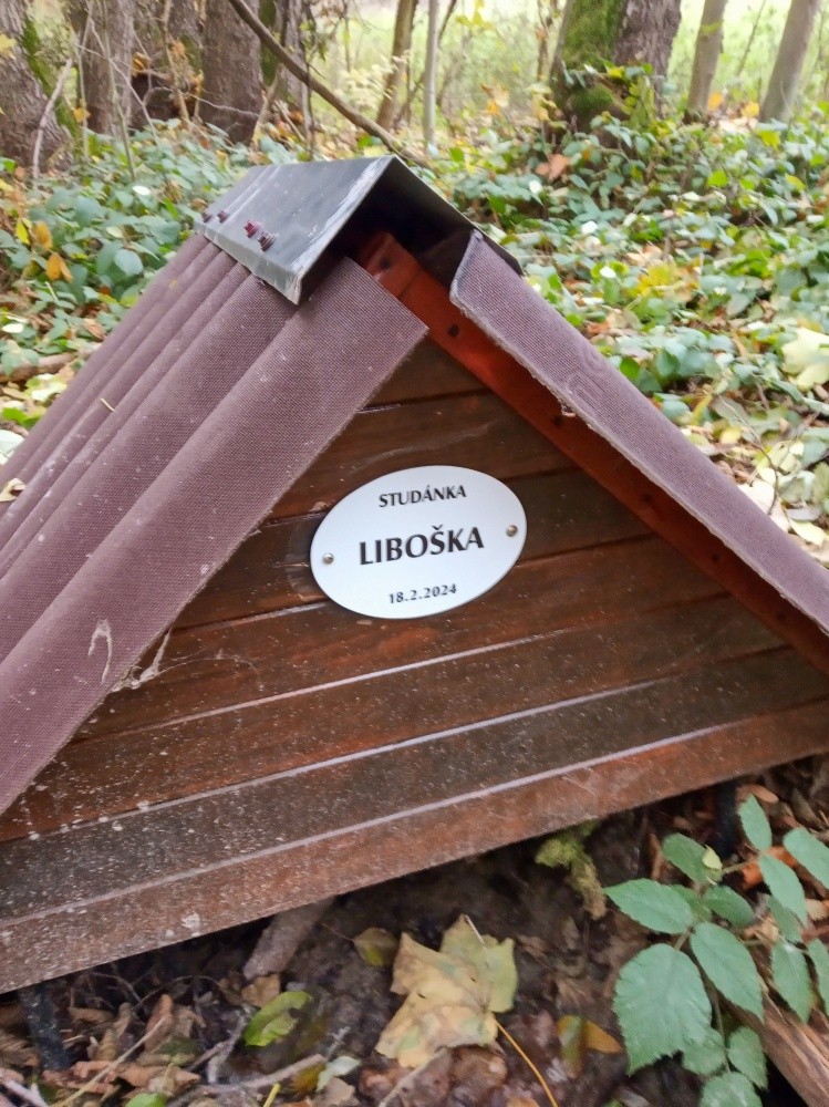 pramen Liboška (15117) - listopad 2024