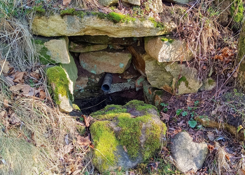 studánka U vrbiček (15118) - únor 2024