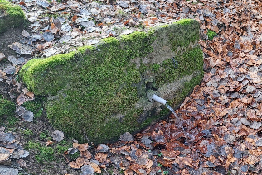 studánka bez jména (15124) - únor 2024
