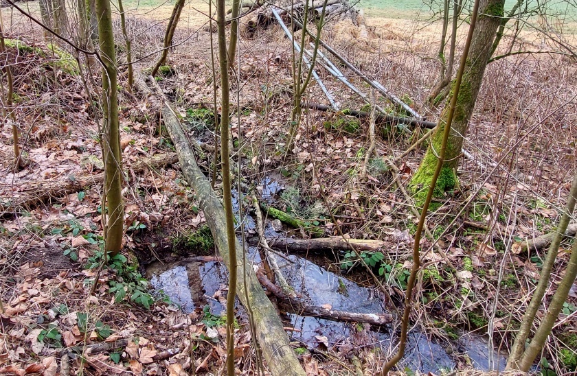 studánka Na rozcestí (15138) - únor 2024