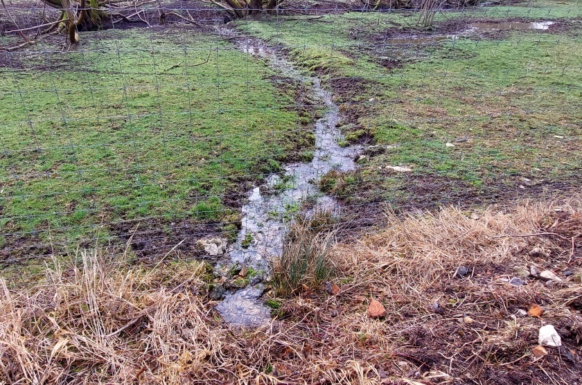 studánka Pod kapličkou (15139) - únor 2024