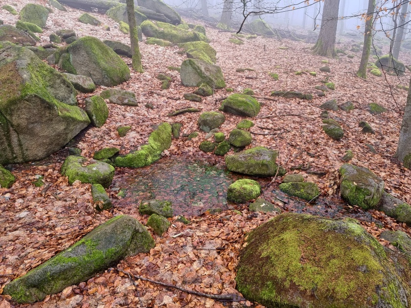 studánka Pod Vlčicí (15146) - únor 2024