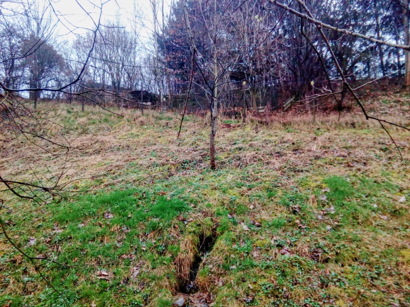 prameniště Luční (15149) - březen 2024