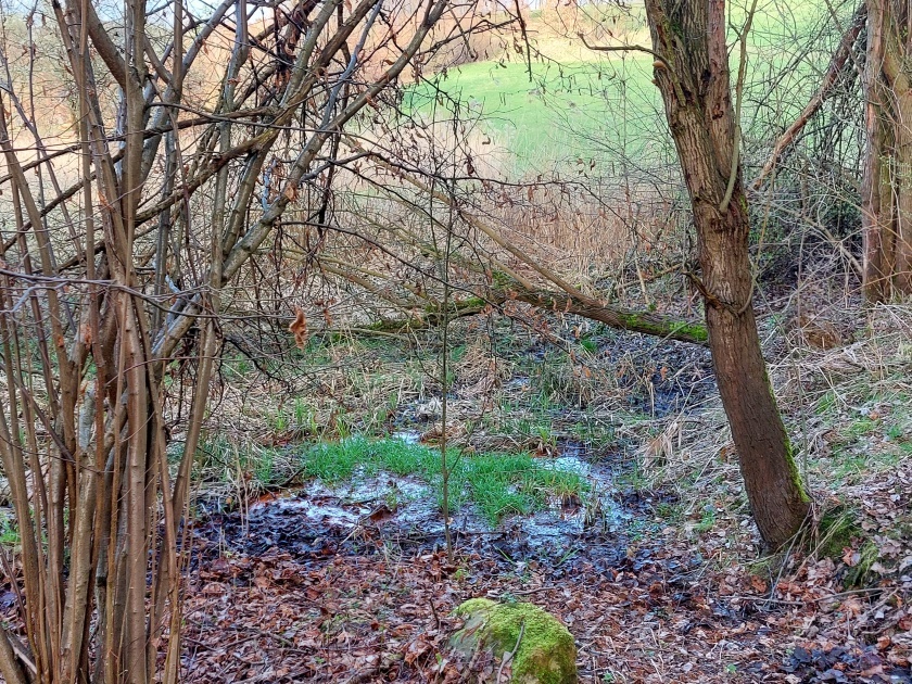 prameniště Nad hrází (15163) - březen 2024