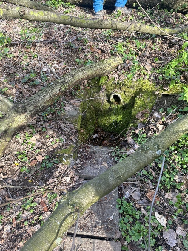 studánka bez jména (15166) - březen 2024