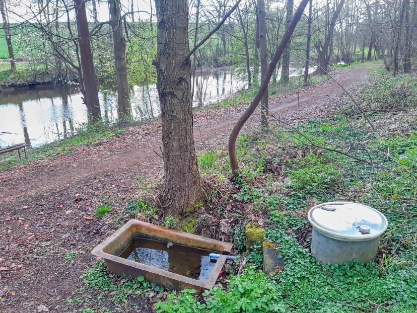 studánka Pod Višňovkou (15177) - duben 2024