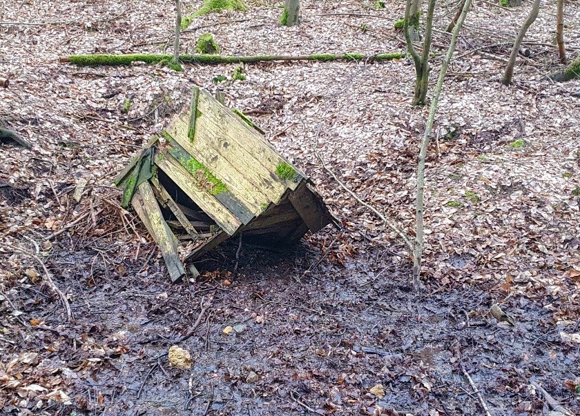 studánka Pod Holým vrchem (15179) - březen 2024