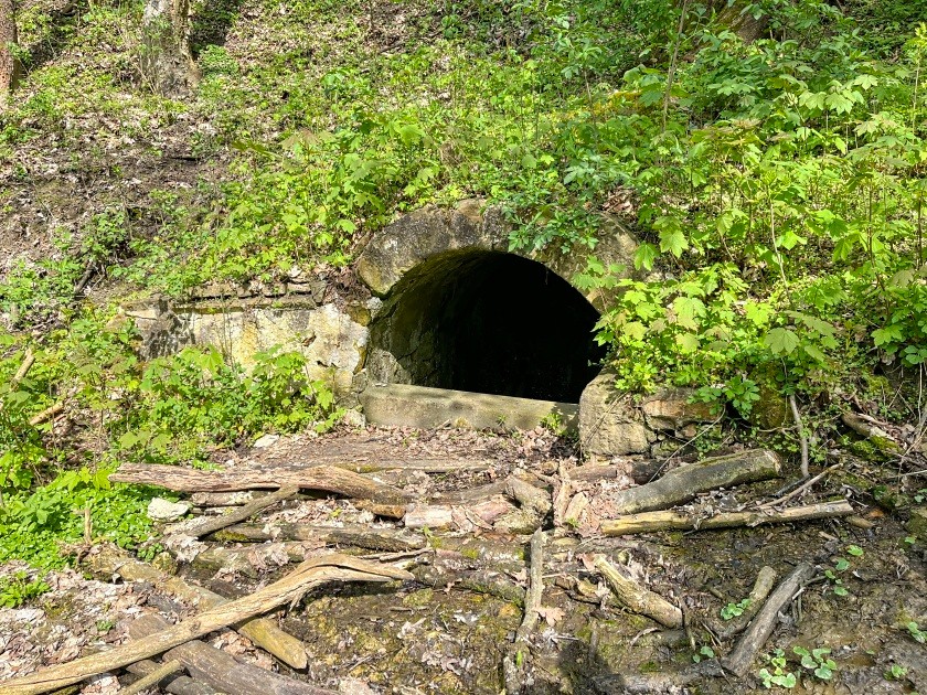 studánka Na Hrádku (15184) - duben 2024