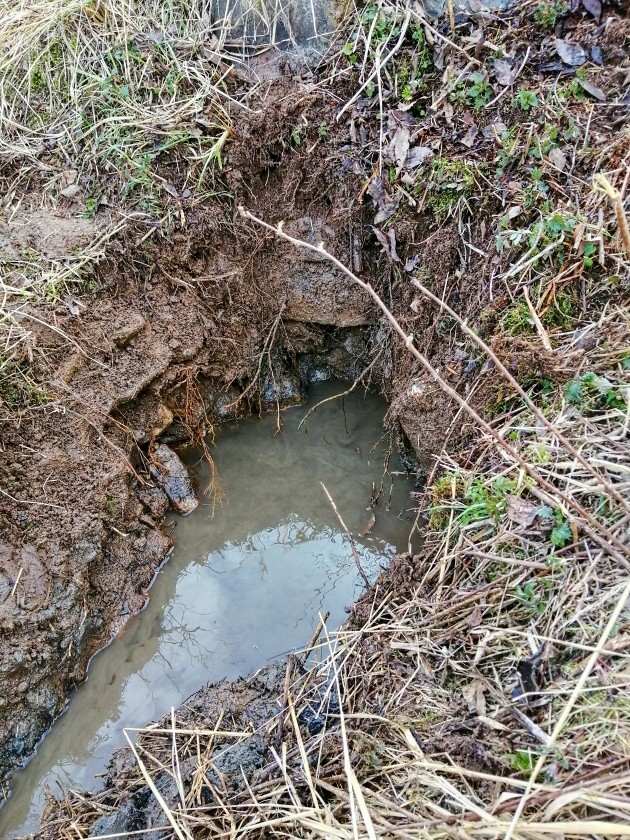 studánka Ve Skalkách (15191) - březen 2024