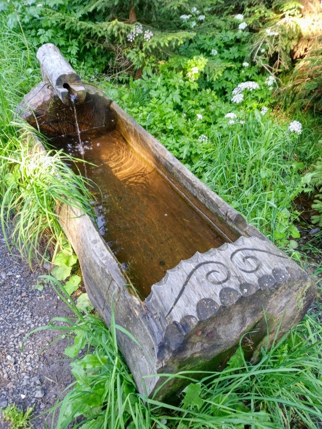 studánka Ježíškova cesta (15226) - červen 2024