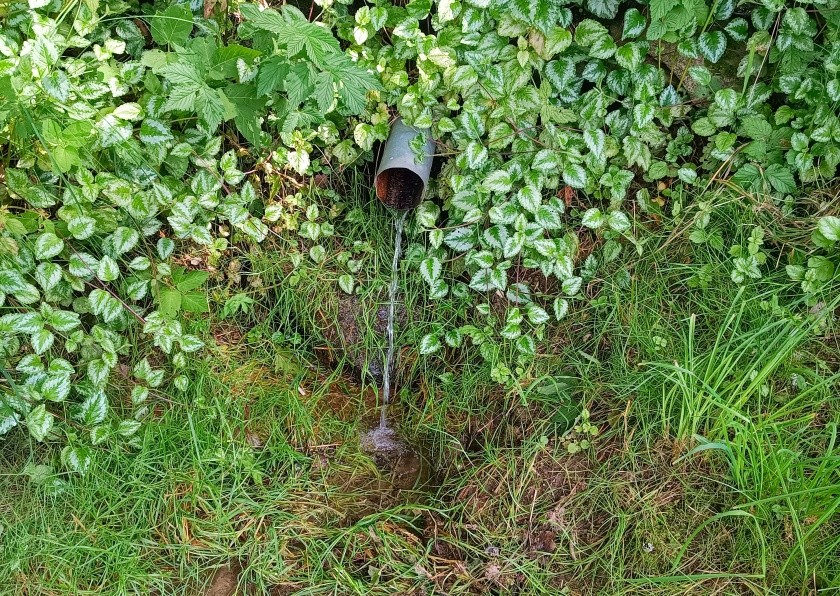 studánka Klášterská (15238) - červen 2024