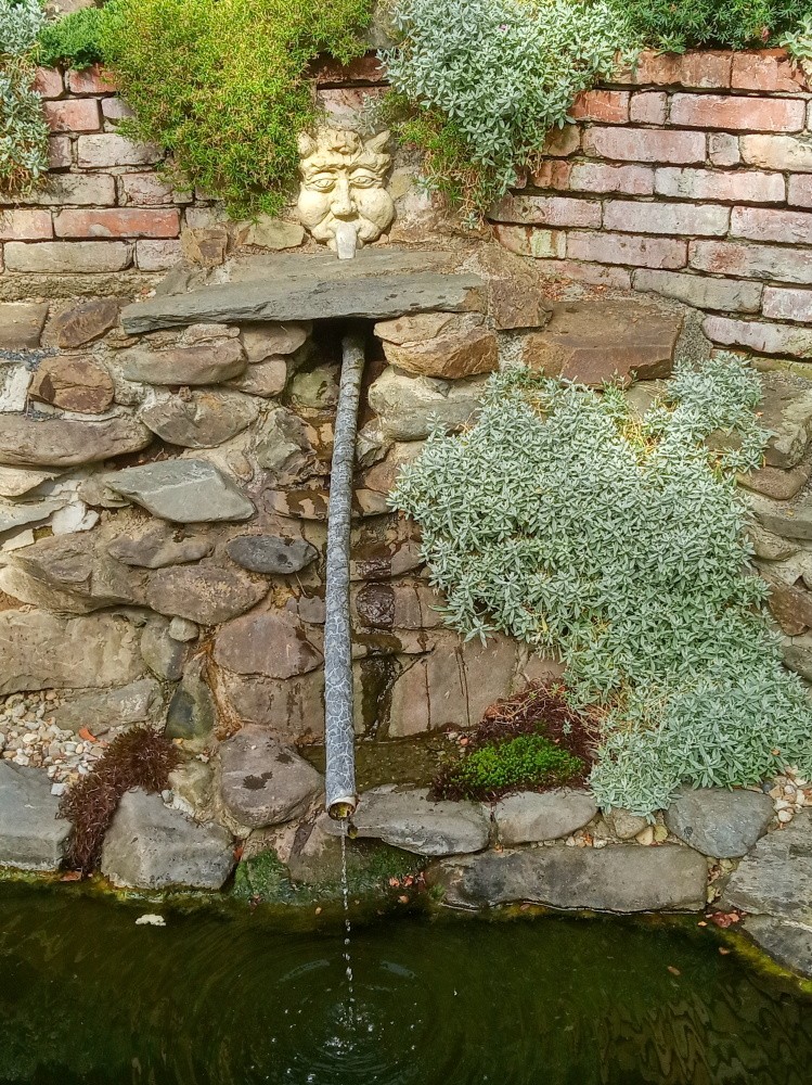 studánka Věrka (15239) - červen 2024