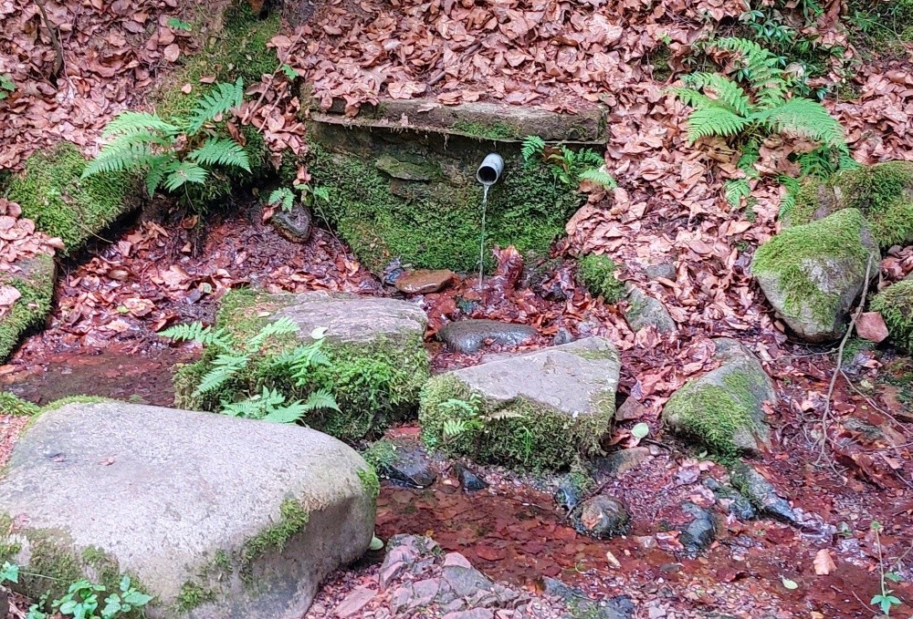 studánka Osada starých supů 2 (15245) - červen 2024