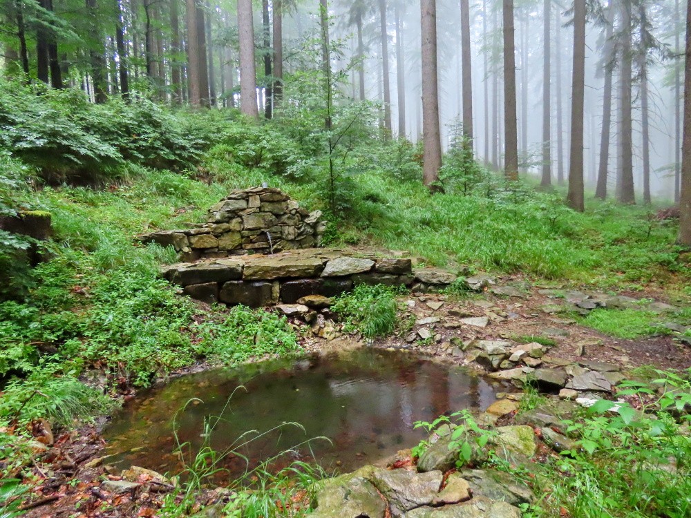 studánka Antonínův pramen (15247) - červen 2024