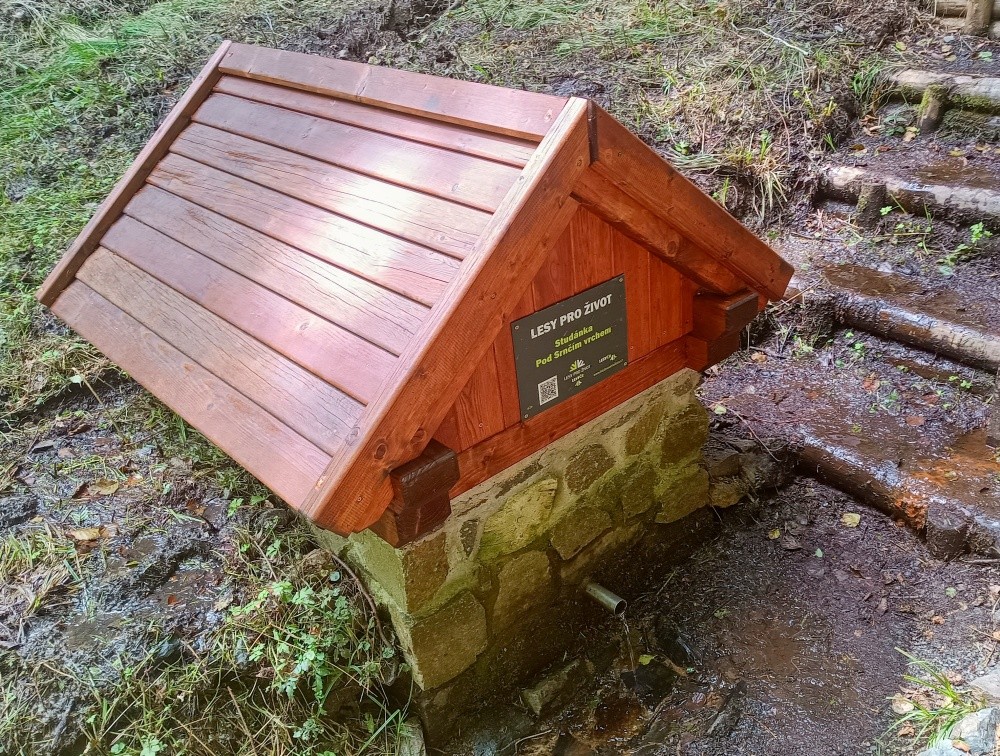 studánka Pod Srnčím vrchem (15263) - červenec 2024