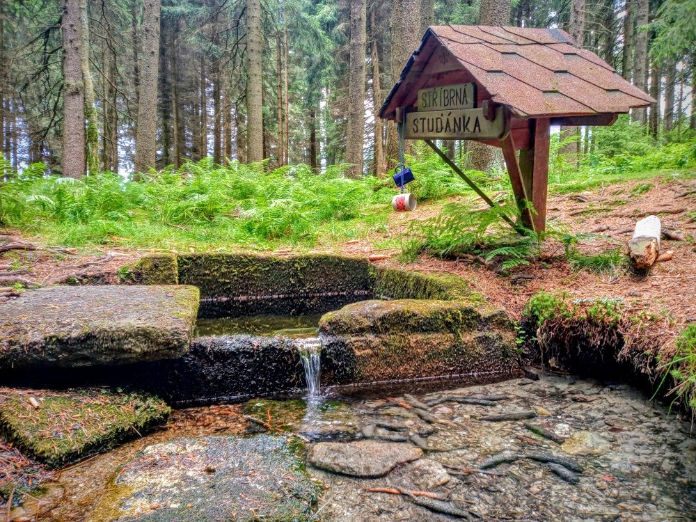 Stříbrná studánka (15274) - červenec 2024