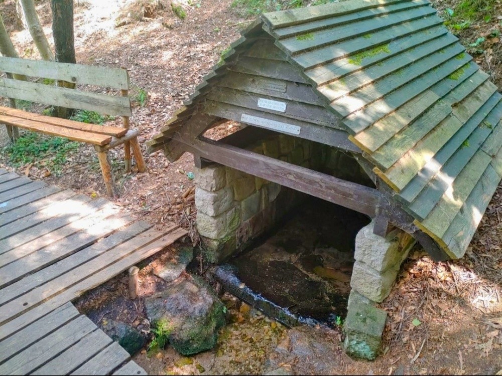 studánka bez jména (15299) - srpen 2024