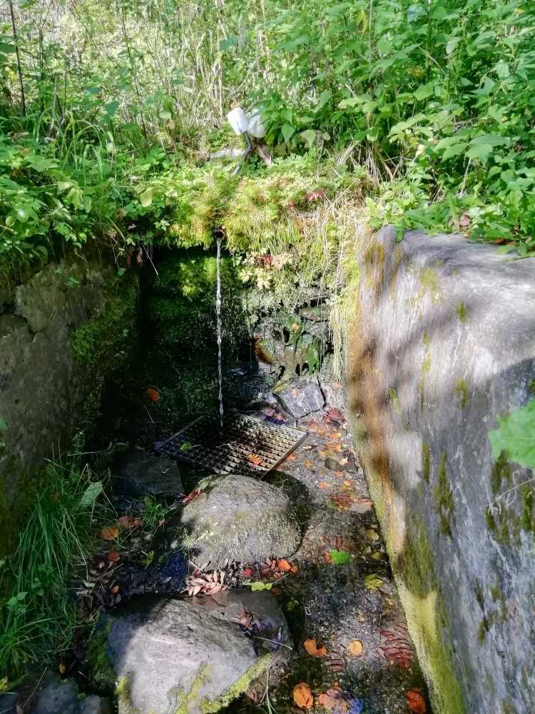 studánka bez jména (15304) - srpen 2024