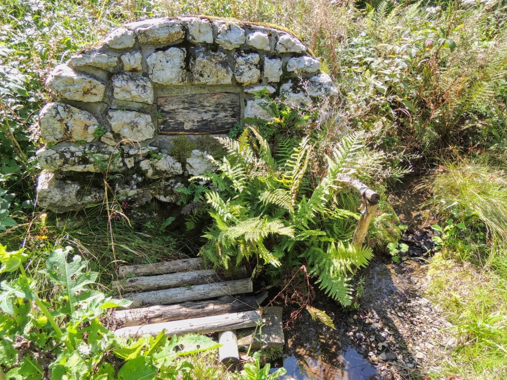 studánka U tří dubů (15305) - srpen 2024