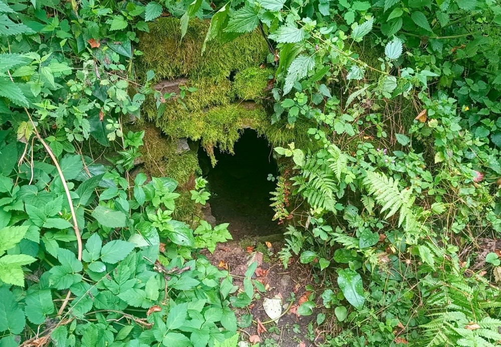 studánka Frejštejnská (15325) - září 2024