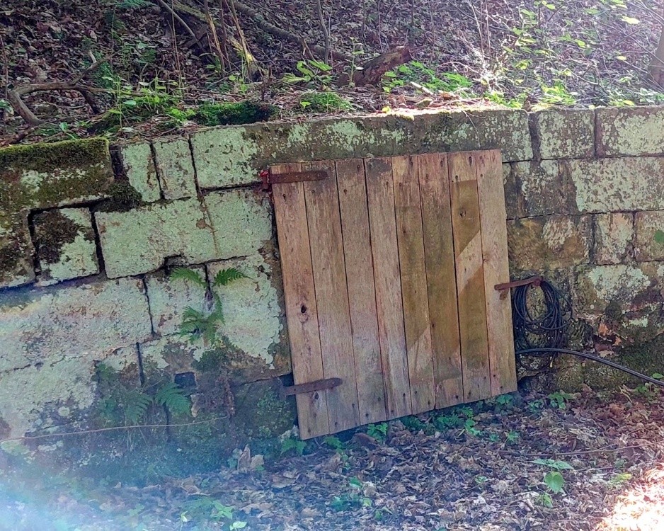 studánka Janov Pastis (15332) - červen 2023