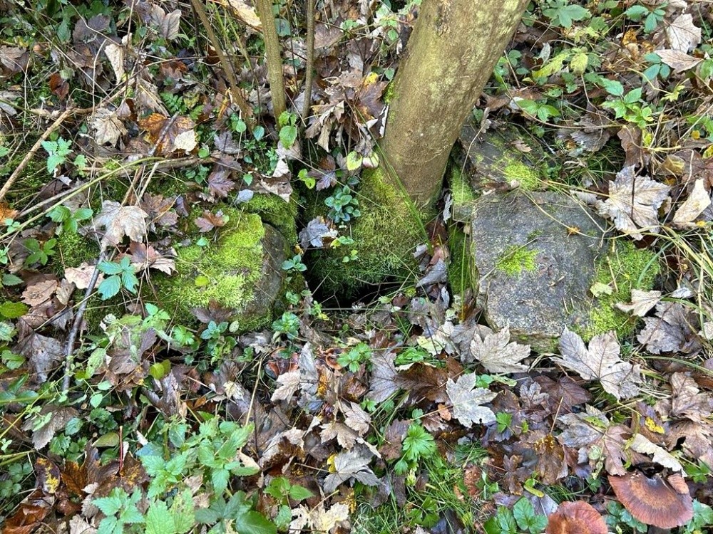 Javorová studánka (15337) - říjen 2024