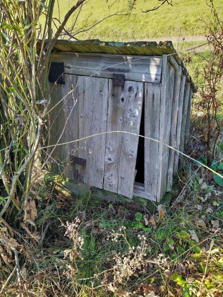 studánka bez jména (15346) - listopad 2024