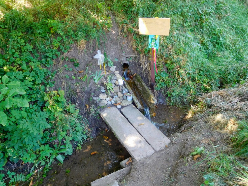 studánka U Vodníka (15348) - srpen 2024