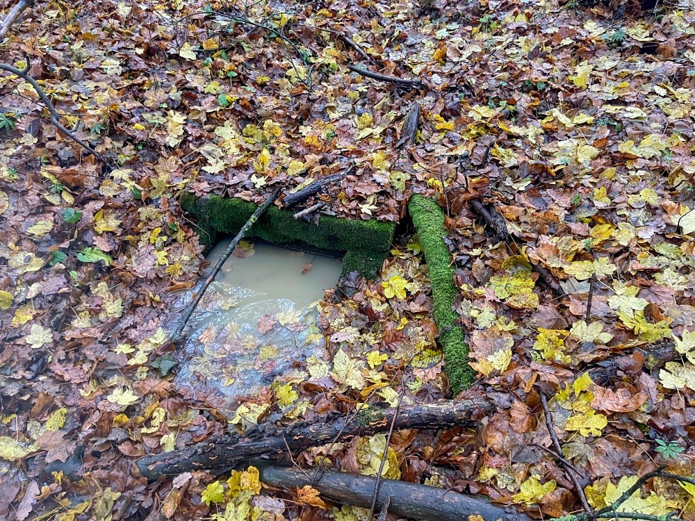 studánka bez jména (15356) - listopad 2024