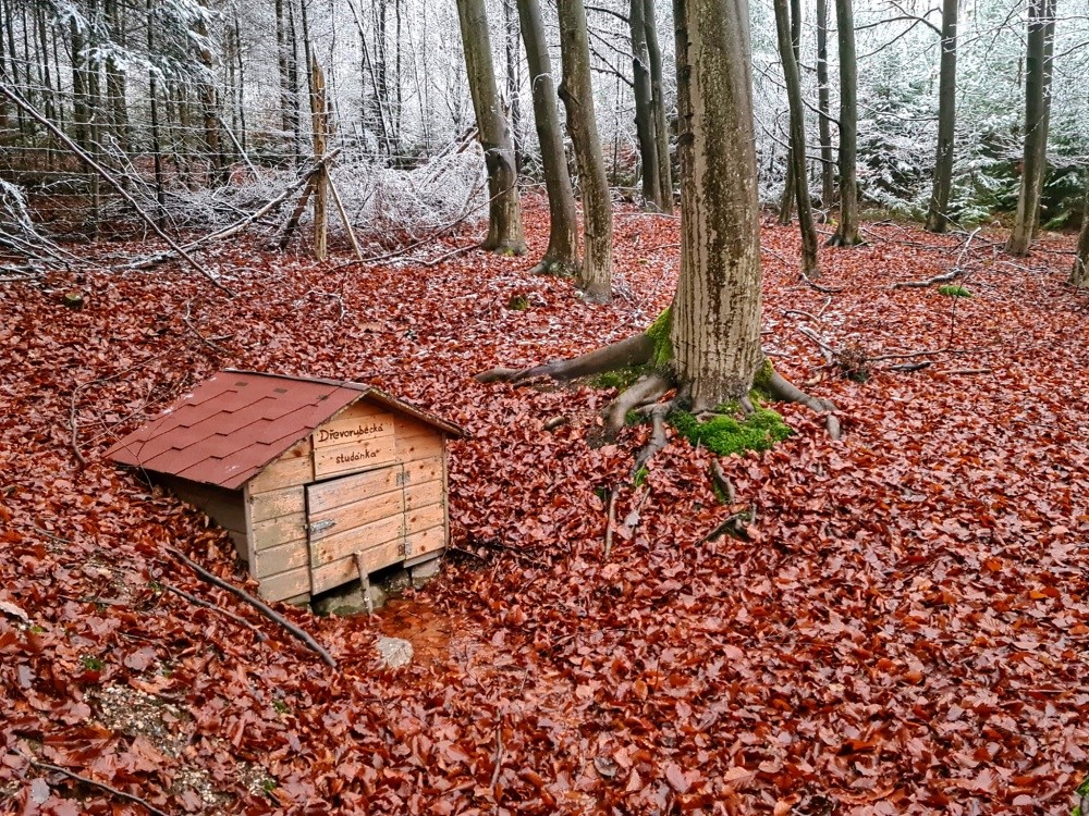Dřevorubecká studánka (15359) - prosinec 2024