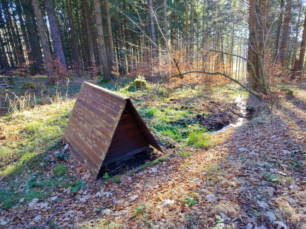 studánka Mášovna (15371) - prosinec 2024