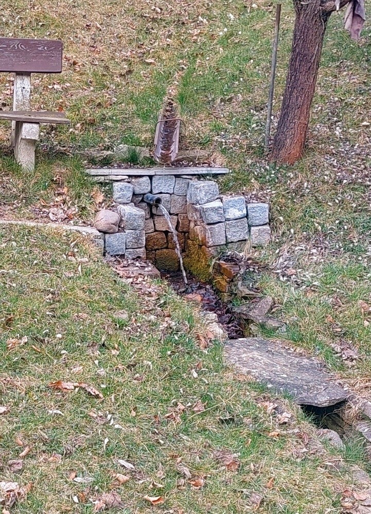 studánka Pod chatou (15407) - březen 2025