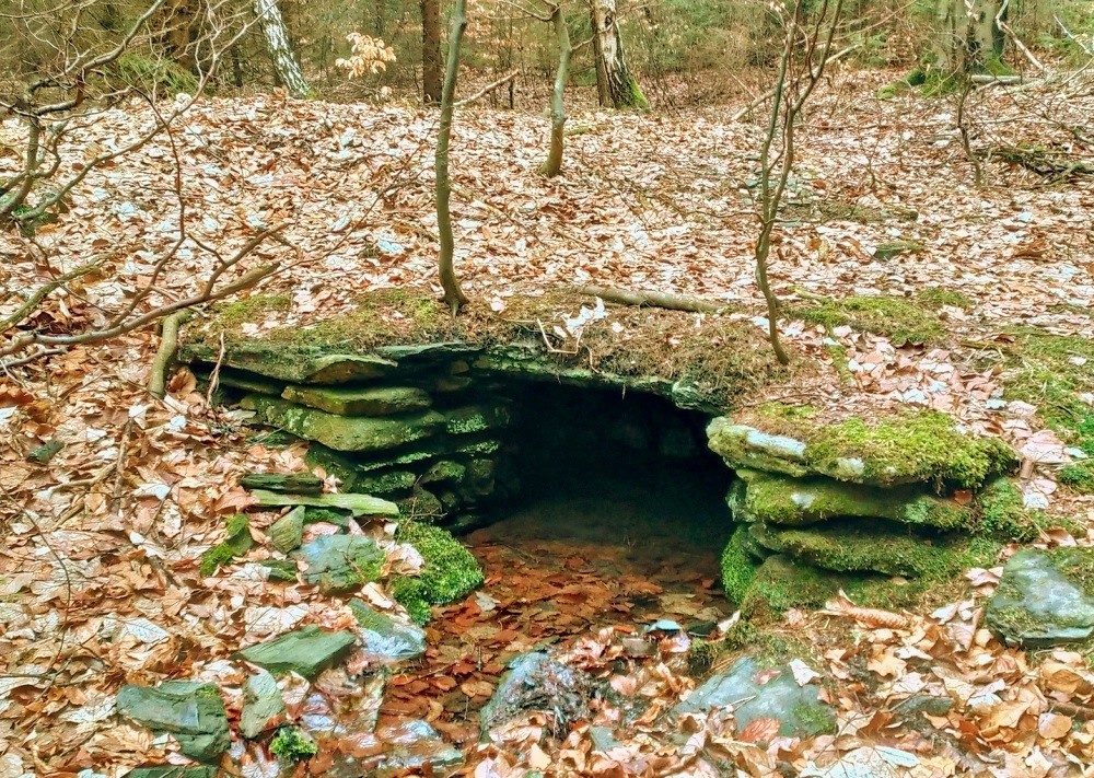 studánka bez jména (15418) - březen 2025