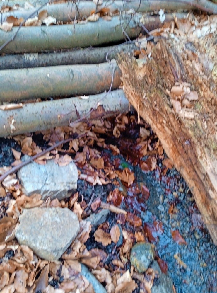 studánka Zatracená (15434) - duben 2025