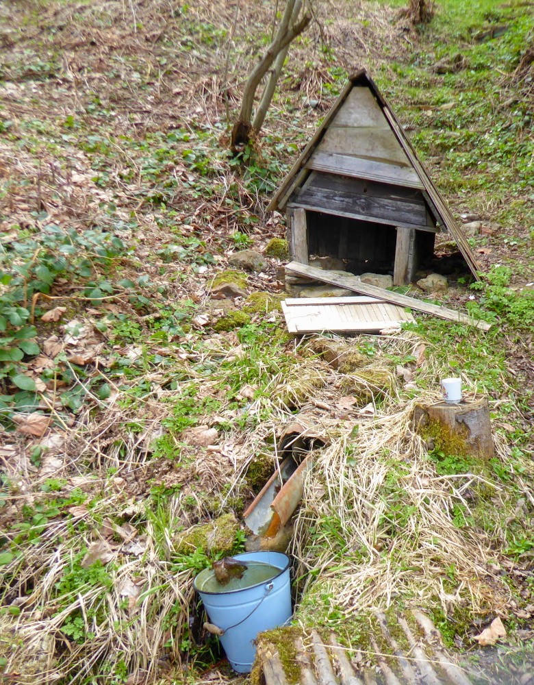 studánka bez jména (15444) - duben 2025