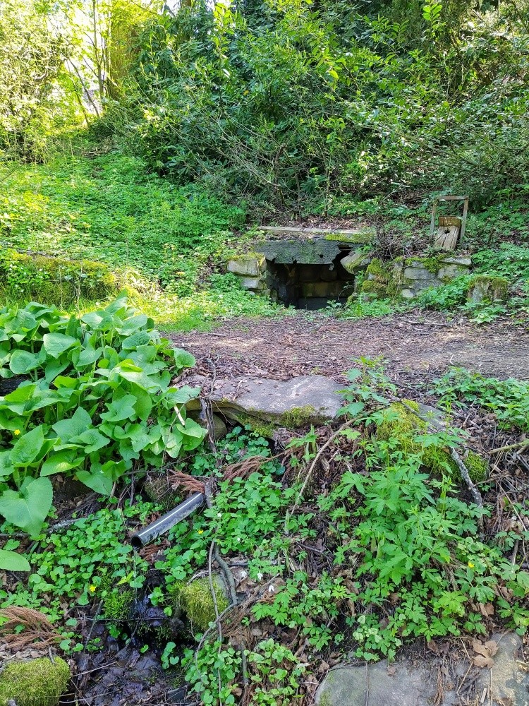 studánka Fritscheho (15455) - duben 2025