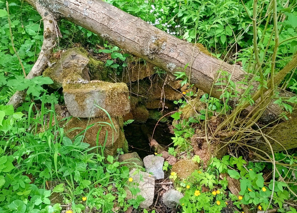 studánka Mezi mlýny (15459) - květen 2025