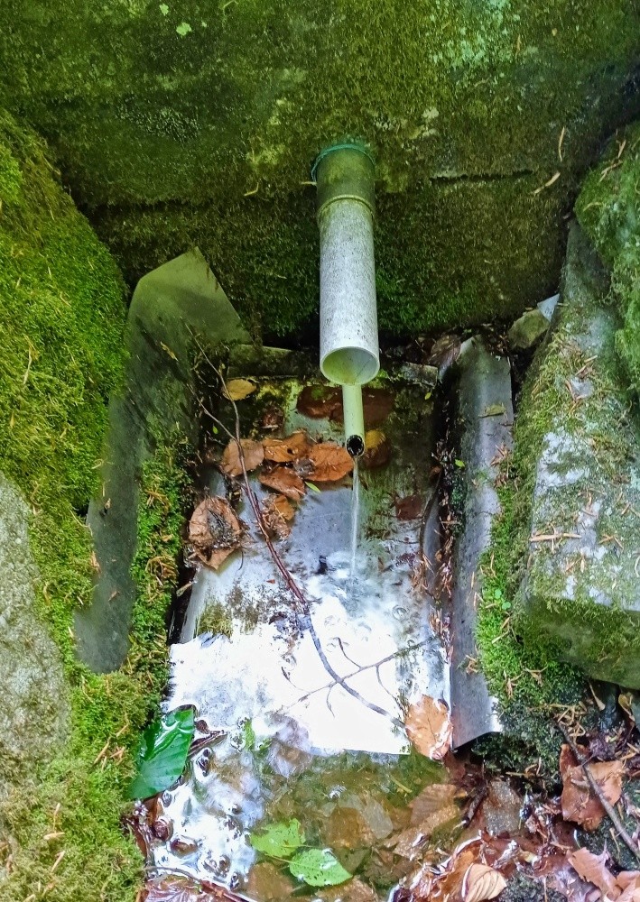 studánka Bazilka (15465) - květen 2025