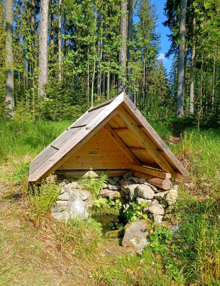 studánka bez jména (15467) - květen 2025