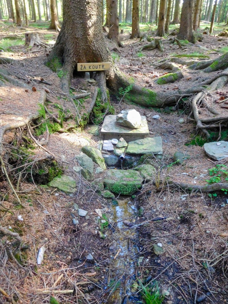 studánka Za Kouty (15469) - květen 2025
