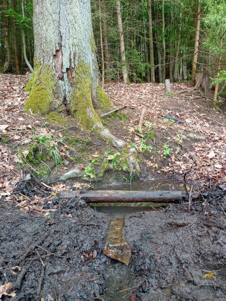 Anninčina studánka (15476) - květen 2025