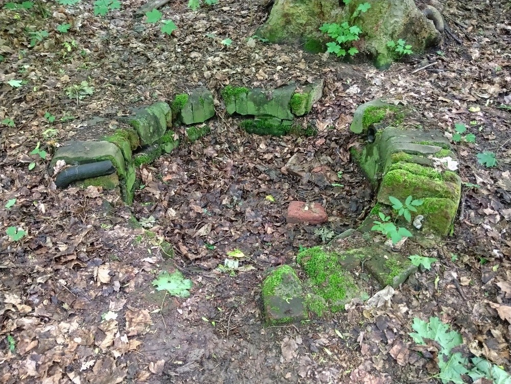 studánka bez jména (15481) - červen 2025