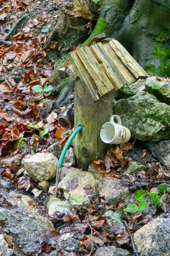 Maškova studánka (15489) - červen 2025